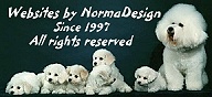 Copyright 2007 - NormaDsign - All rights reserved